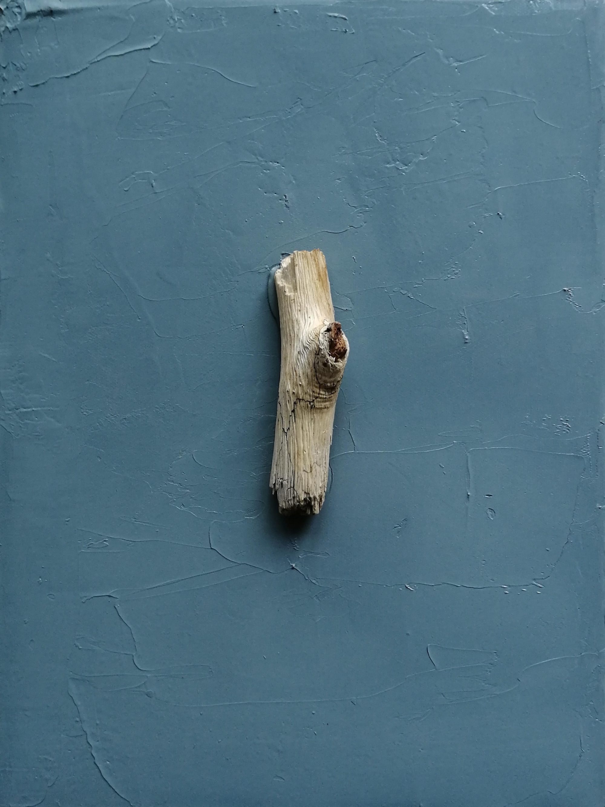 albero – 22×30 – 2022